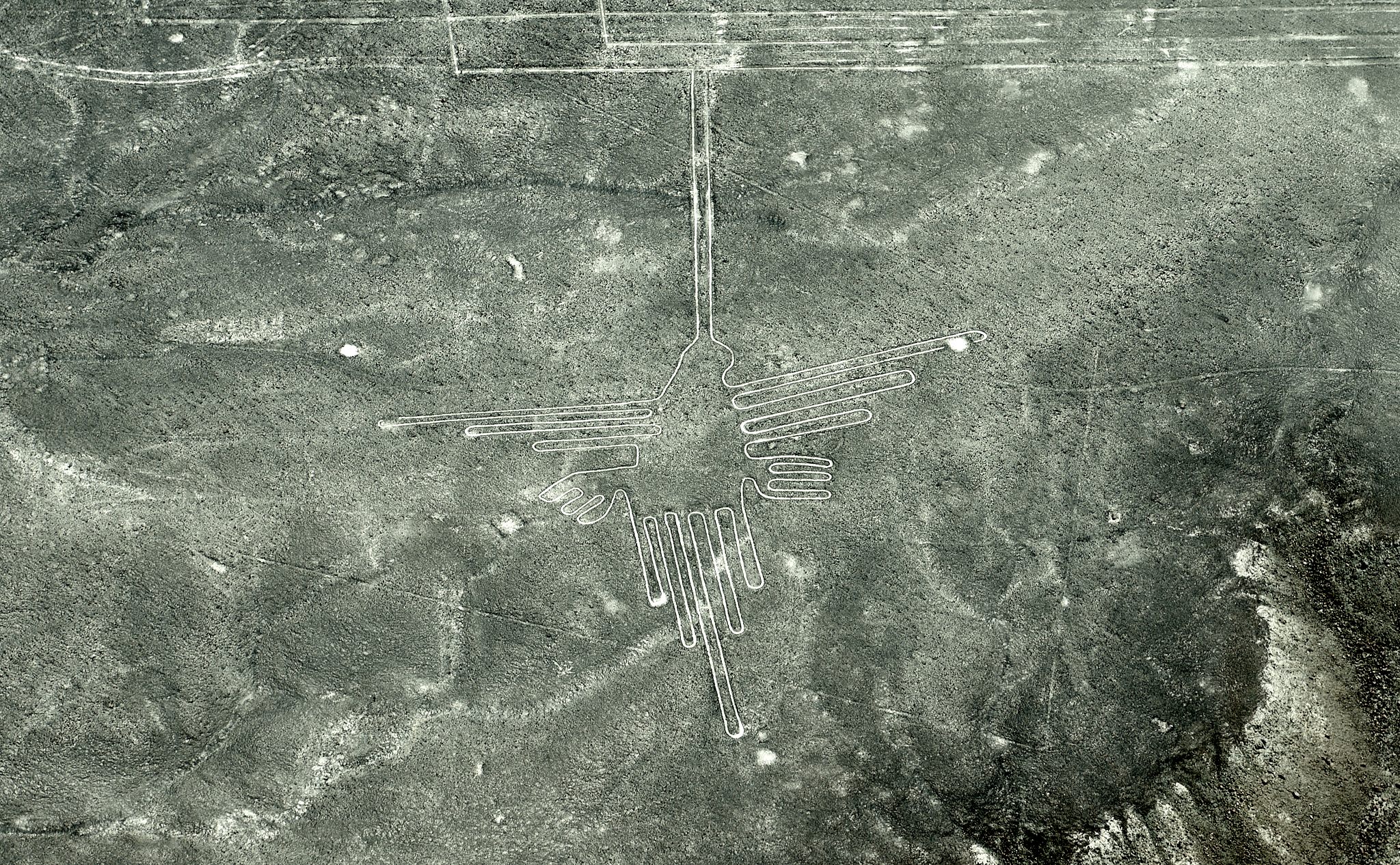 20200305 313 [페루] 나스카 라인